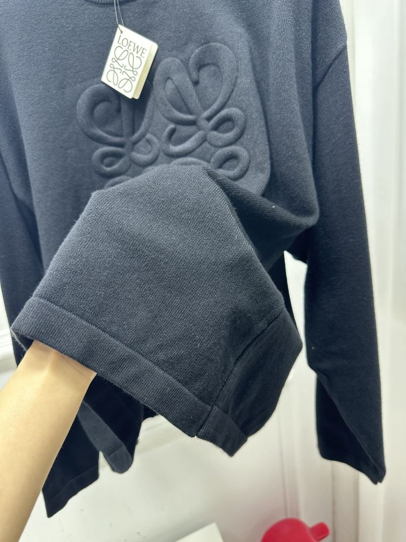 Loewe Sweaters